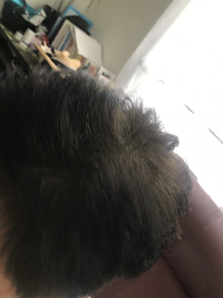 ヘナ染め後のトップサイド